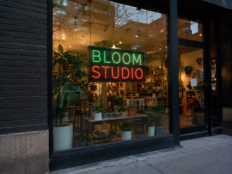 Window LED signs image